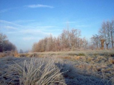 Holiday apartment Dünenoase 3 - Environment photo 15