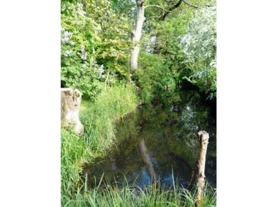 Holiday apartment Dünenoase 3 - Environment photo 18