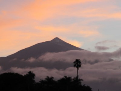 Bungalow flor-y-mar - Environment photo 20