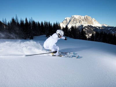 Holiday apartment Tirol130 at Hechenbergerhof - Environment photo 15