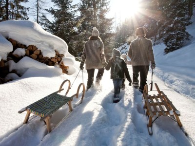 Holiday apartment Tirol130 at Hechenbergerhof - Environment photo 16