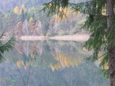 Chalet Hamberg - Environment photo 23