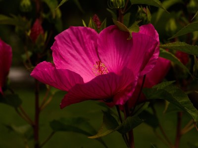 Apartment Krista - Outdoor photo 16