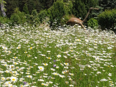 Apartment Krista - Outdoor photo 18