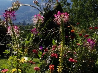 Apartment Krista - Outdoor photo 19