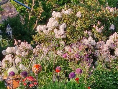 Apartment Krista - Outdoor photo 21