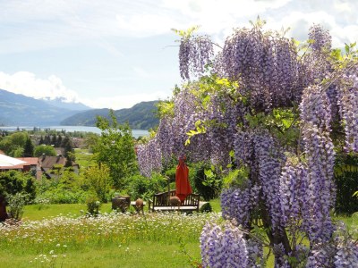 Apartment Krista - Environment photo 31