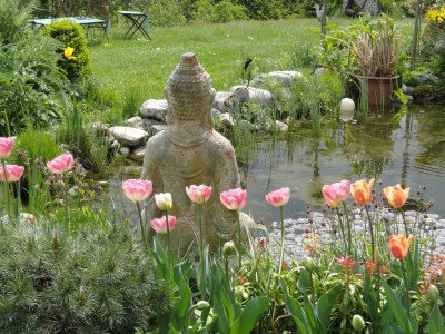 Apartment Krista - Environment photo 36