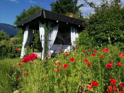 Apartment Krista - Environment photo 40