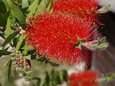 Holiday apartment In the country house Domus Solis 2 - Environment photo 13