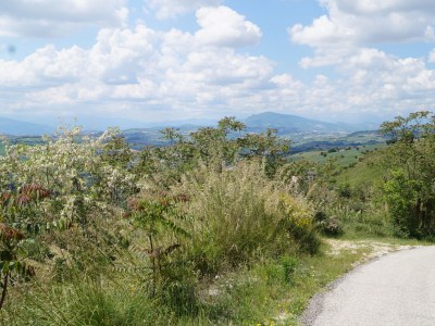 Holiday apartment In the country house Domus Solis 2 - Environment photo 14