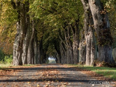 Holiday apartment Müller - Environment photo 24