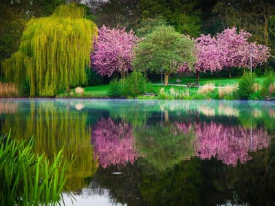 Holiday apartment Müller - Environment photo 26