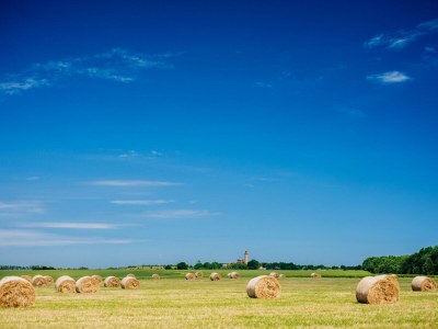 Holiday apartment Müller - Environment photo 37