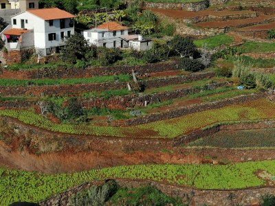 Apartment Relaxing by the sea - Outdoor photo 15
