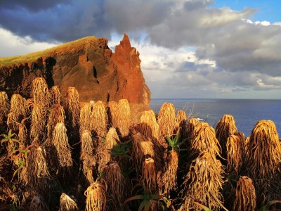 Apartment Relaxing by the sea - Outdoor photo 18