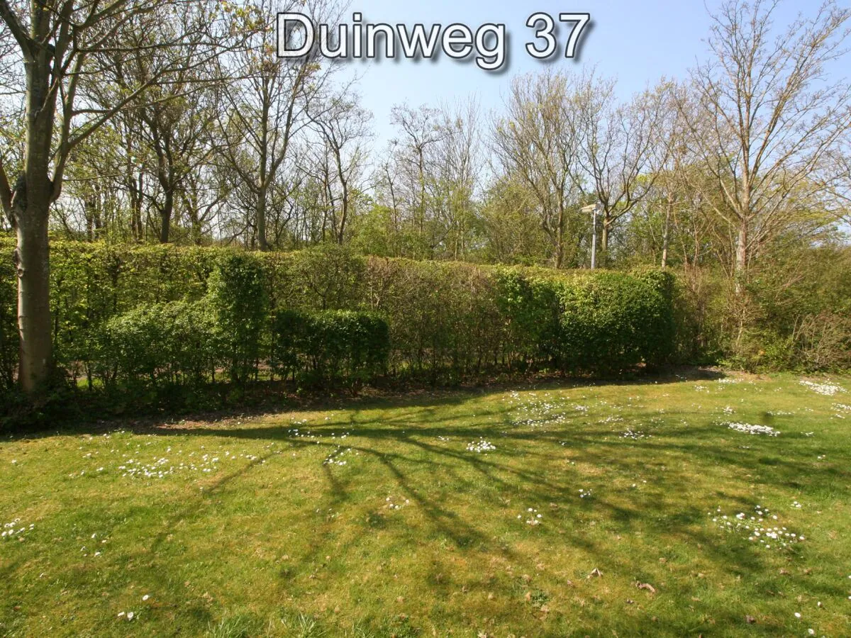 Holiday apartment Zuiderstrand Duinweg 37 - Outdoor photo 5