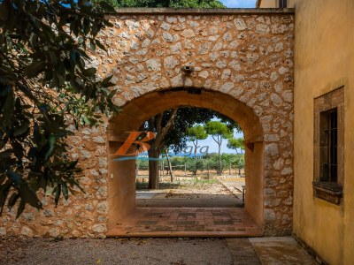 Finca Vistalegre - FF 2252-O - Outdoor photo 4