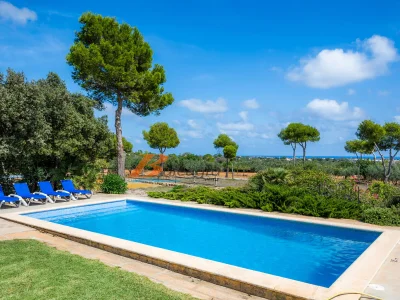 Finca Vistalegre - FF 2252-O - Environment photo 20