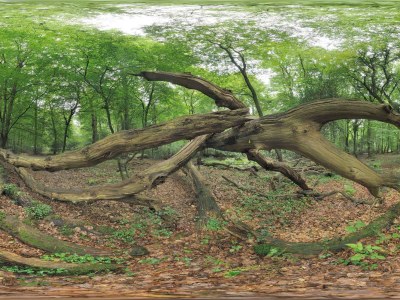 Holiday apartment Janßen - Environment photo 20