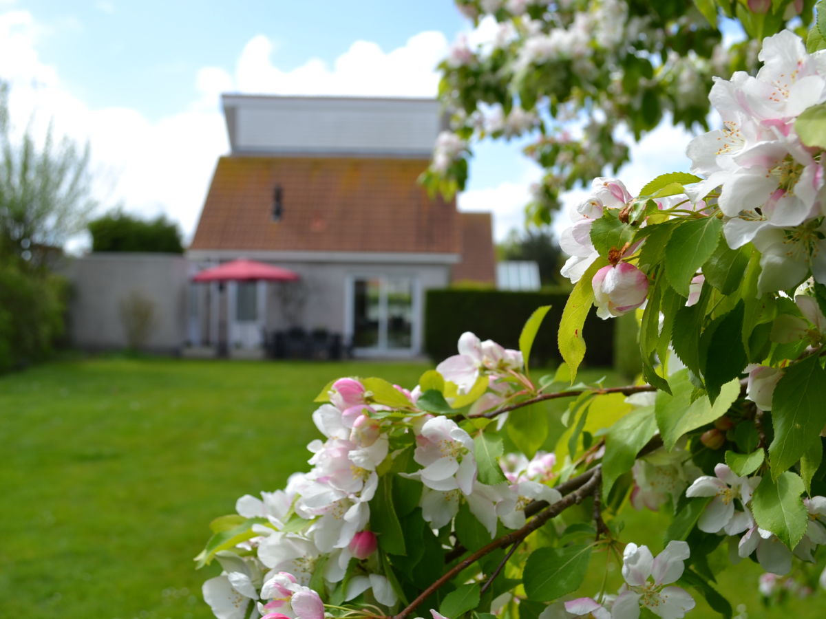 Holiday house House in Scharendijke (last minute Sept/Oct. - Outdoor photo 3