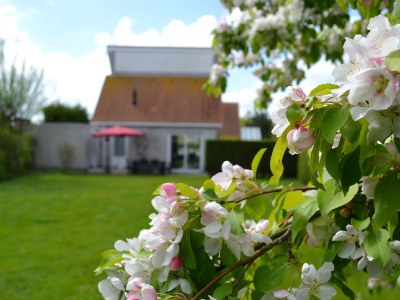 Holiday house House in Scharendijke (last minute Sept/Oct. - Outdoor photo 3