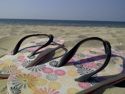 Holiday house House in Scharendijke (last minute Sept/Oct. - Environment photo 17