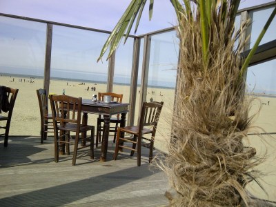 Holiday house House in Scharendijke (last minute Sept/Oct. - Environment photo 19