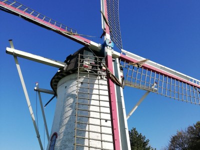 Holiday house House in Scharendijke (last minute Sept/Oct. - Environment photo 25