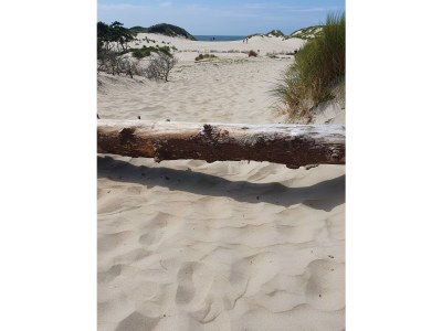 Holiday house House in Scharendijke (last minute Sept/Oct. - Environment photo 30