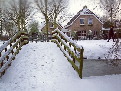 Holiday house House in Scharendijke (last minute Sept/Oct. - Environment photo 31