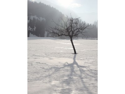 Holiday apartment in the Pension Tirol - Environment photo 16