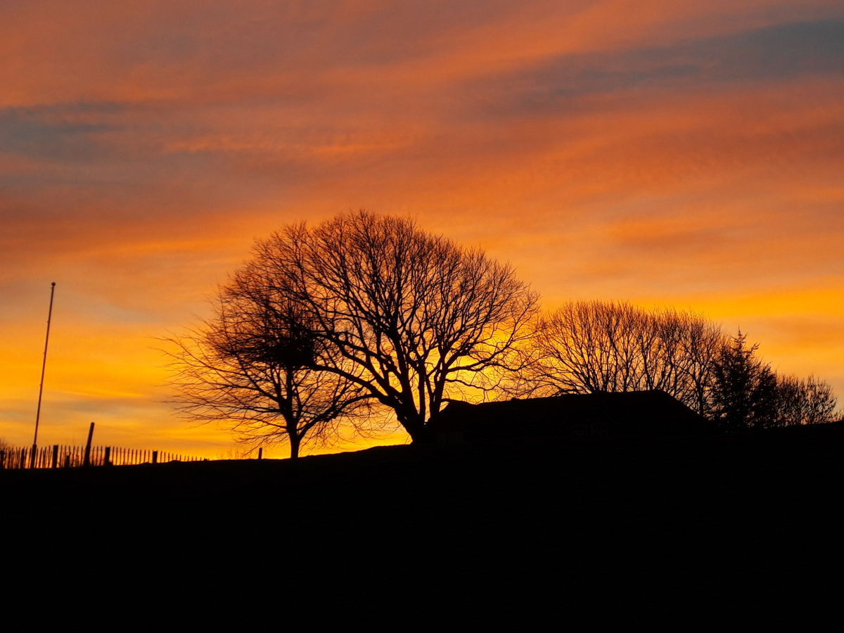 Holiday house Huus Achtern Diek - Outdoor photo 3