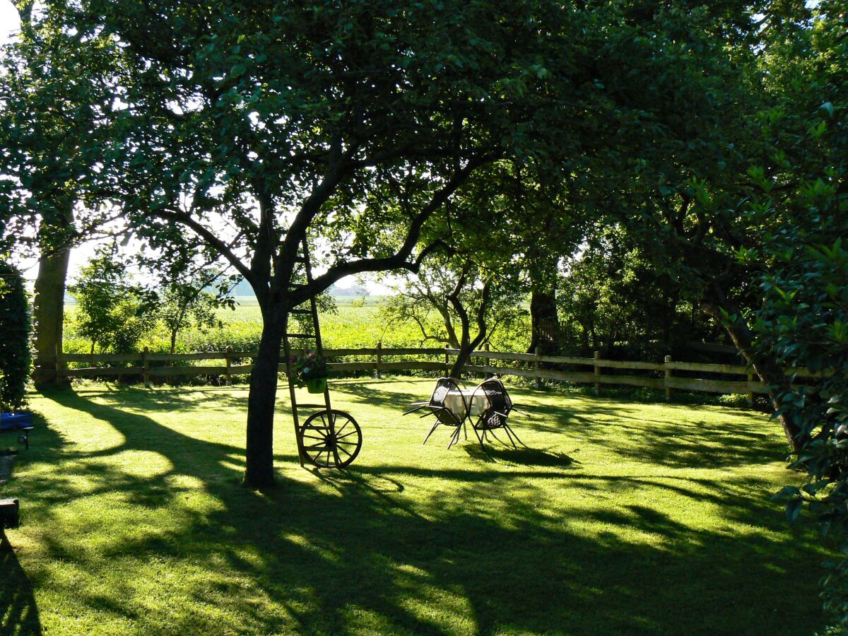 Holiday house Huus Achtern Diek - Outdoor photo 5