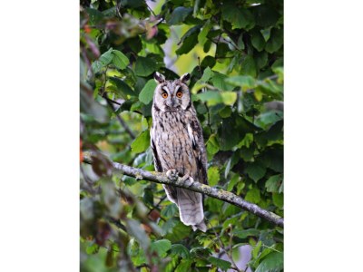 Holiday house Huus Achtern Diek - Outdoor photo 2