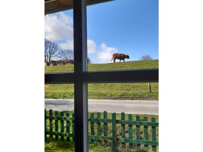 Holiday house Huus Achtern Diek - Outdoor photo 6