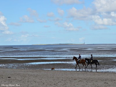 Holiday house Huus Achtern Diek - Environment photo 23
