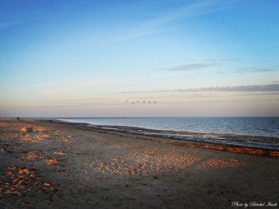 Holiday house Huus Achtern Diek - Environment photo 28