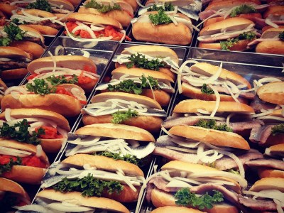 Holiday house Huus Achtern Diek - Environment photo 31