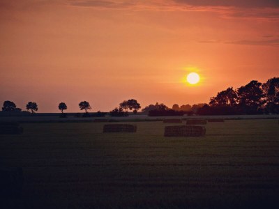 Holiday house Huus Achtern Diek - Environment photo 32