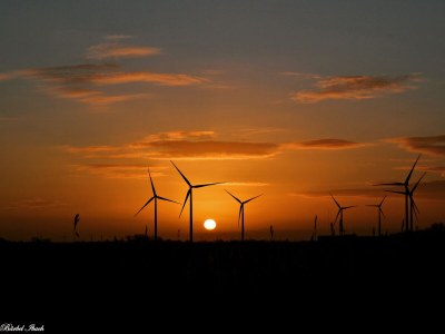 Holiday house Huus Achtern Diek - Environment photo 33