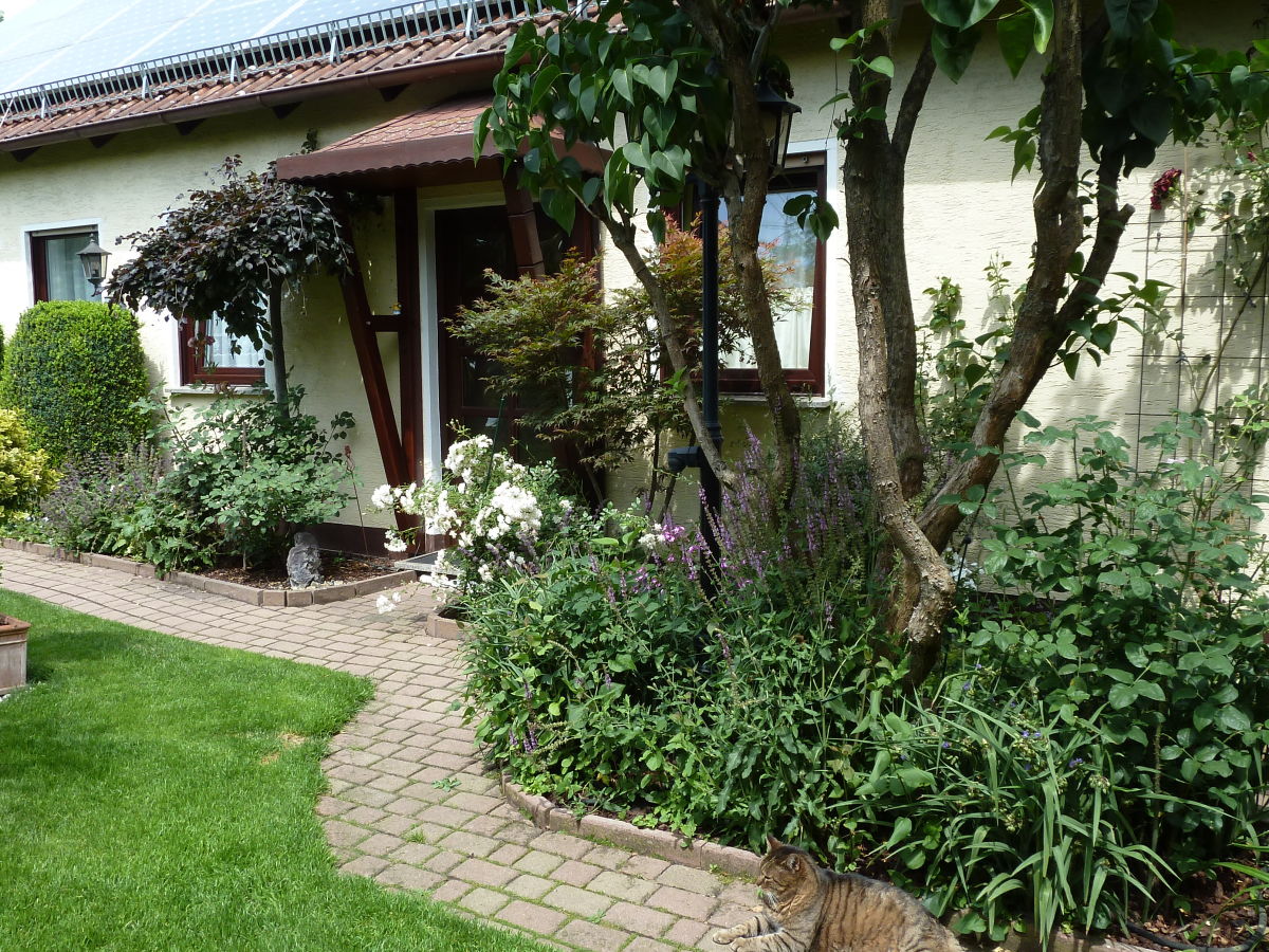 Holiday house Am Rosengarten - Outdoor photo 2