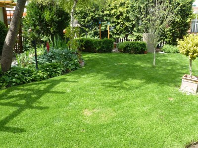 Holiday house Am Rosengarten - Outdoor photo 4