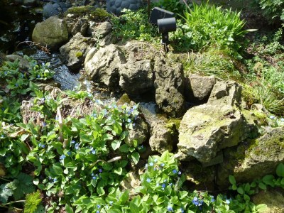 Holiday house Am Rosengarten - Outdoor photo 6