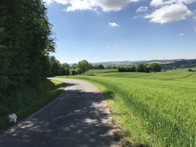 Holiday house Am Rosengarten - Document photo 26