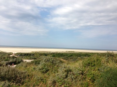 Holiday house Chalet Merel 136 - Environment photo 19