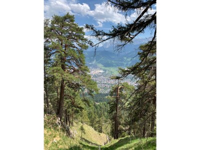 Holiday apartment Waffenschmiede - Environment photo 31