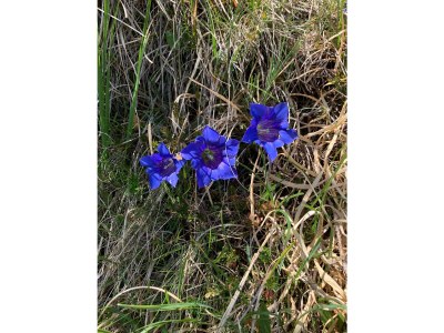 Holiday apartment Waffenschmiede - Environment photo 32