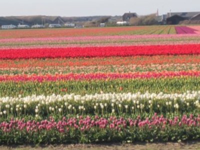 Holiday house Strandslage 284 - Environment photo 27