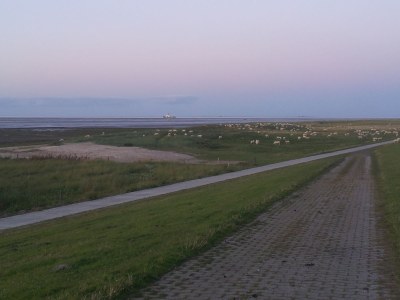 Holiday apartment Wattenhuus Förrien - Environment photo 20